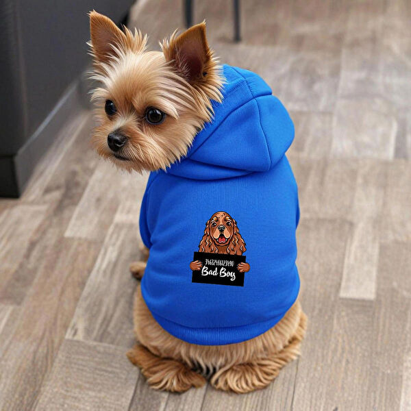 Petite Pati Köpek Elbisesi