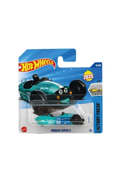 Hot Wheels Model Arabalar