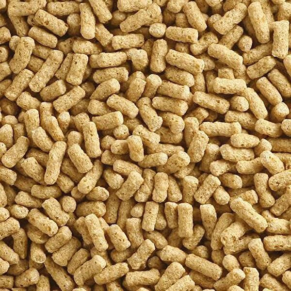 Akvaryum Balık Yemi