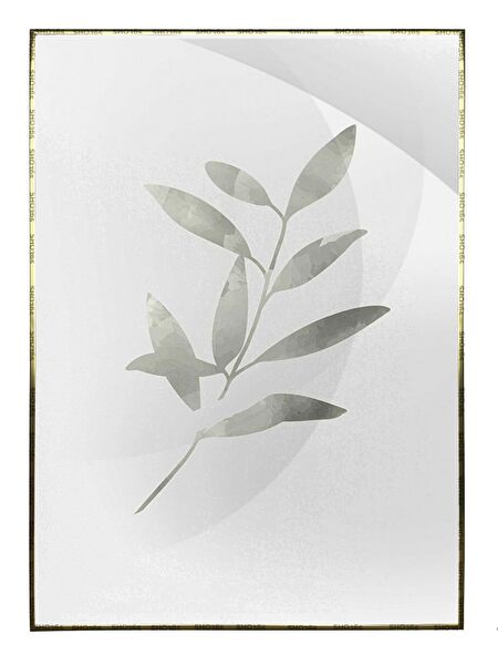 Shop365 Çerçeveli Tablo