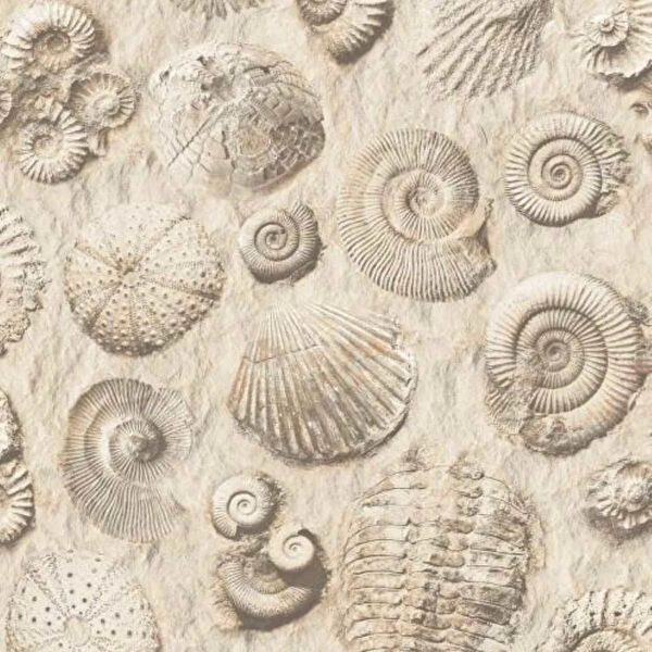 Ugepa Duvar Kağıdı