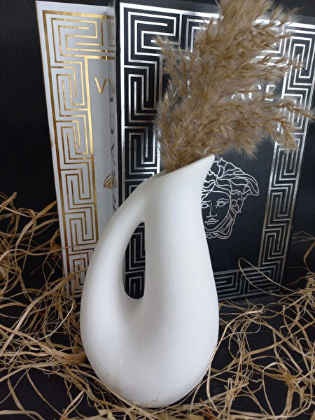 emilysamy Vazo, Saksı