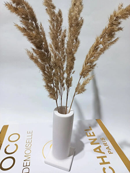 emilysamy Vazo, Saksı