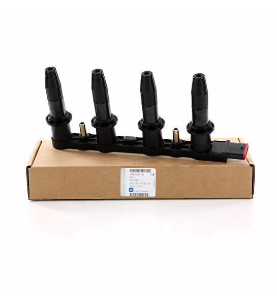 General Motors Ateşleme Beyni