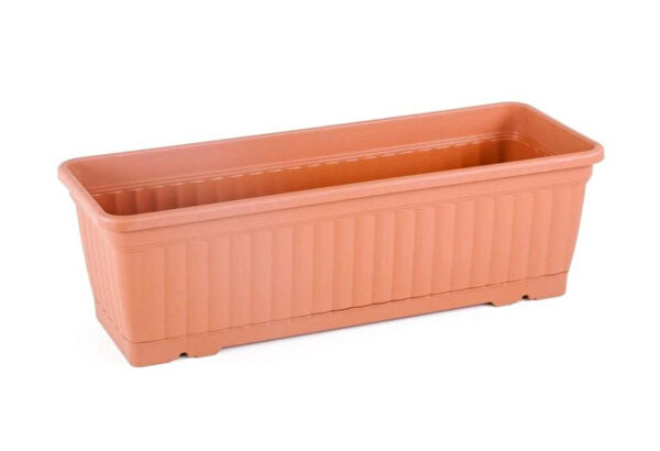 Omnipazar Vazo, Saksı