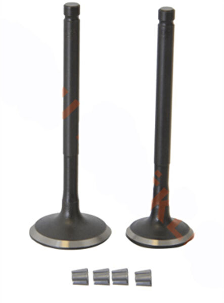 NCR Krank, Piston ve Contalar