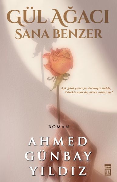 Timaş Yayınları Roman Kitapları
