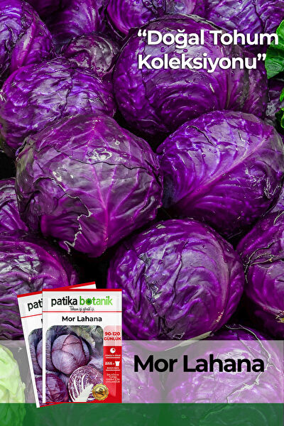 Patika Botanik Tohum