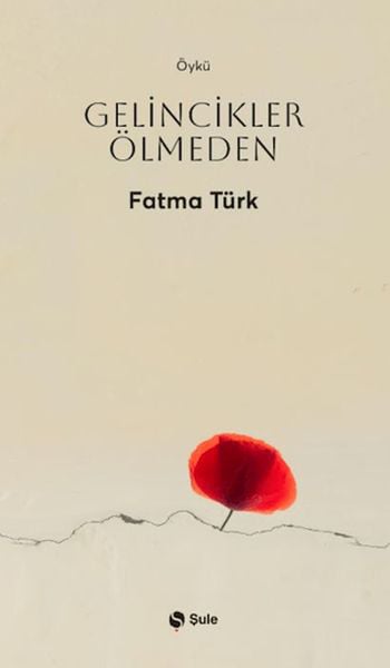 Şule Yayınları Roman Kitapları