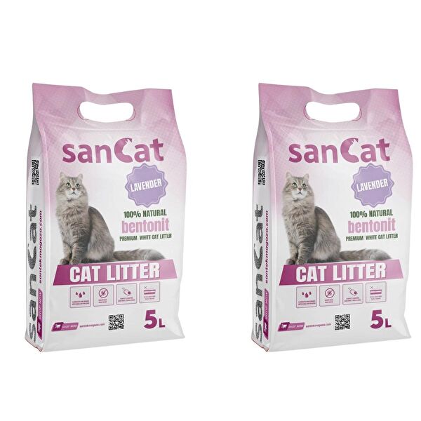 Akdeniz Kedi Kumları