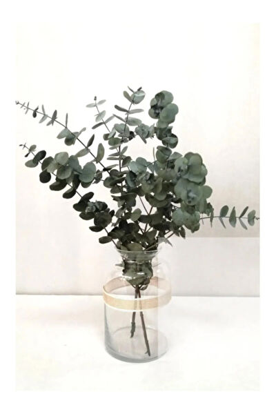 Trend Yapay Çiçek, Meyve