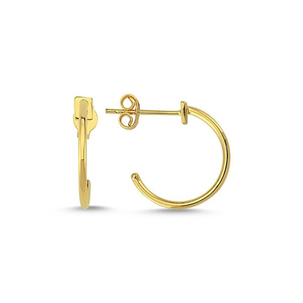 Online Takı Altın Küpe