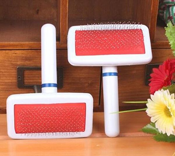 Ramdet Kedi Tarak, Fırça, Makas