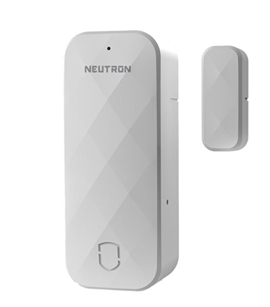 Neutron Sensör, Dedektör