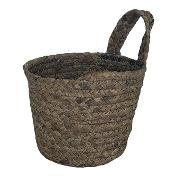 T-Concept Sepet, Kutu