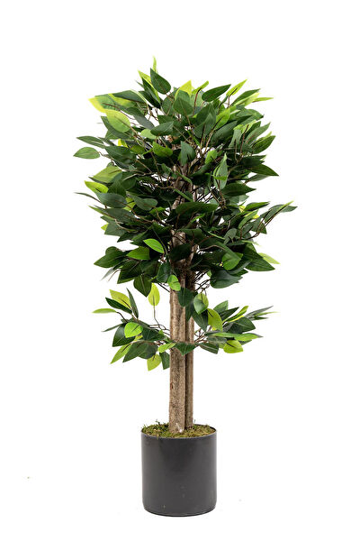 YAPAY ÇİÇEKÇİNİZ Yapay Çiçek, Meyve