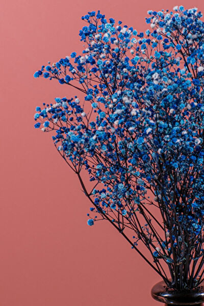 YAPAY ÇİÇEKÇİNİZ Yapay Çiçek, Meyve