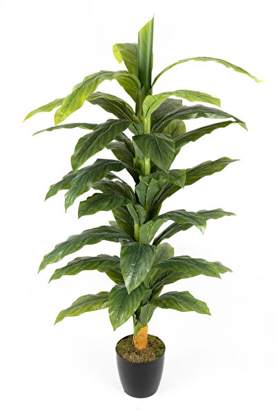 YAPAY ÇİÇEKÇİNİZ Yapay Çiçek, Meyve