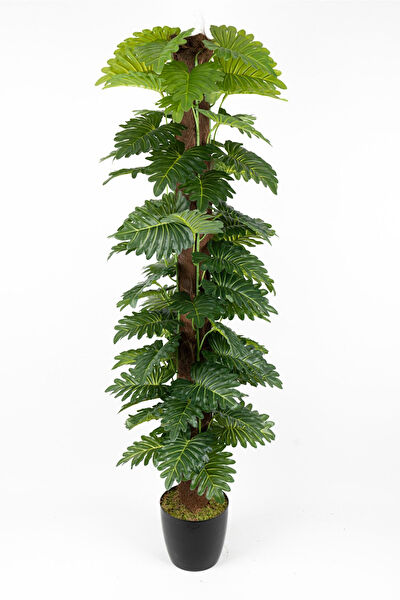 YAPAY ÇİÇEKÇİNİZ Yapay Çiçek, Meyve