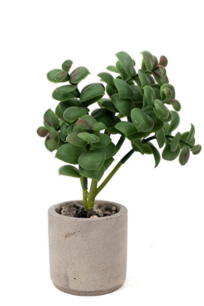 YAPAY ÇİÇEKÇİNİZ Yapay Çiçek, Meyve