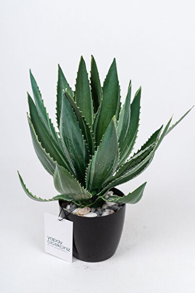 YAPAY ÇİÇEKÇİNİZ Yapay Çiçek, Meyve