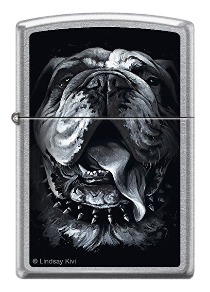 Zippo Çakmak ve Aksesuarı