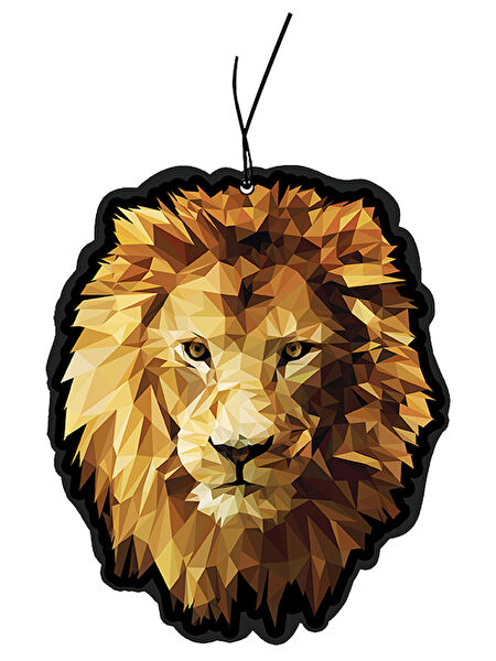 ODABURADA Oto Kokuları