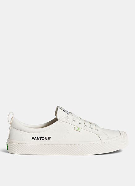 Cariuma Yürüyüş, Koşu Ayakkabısı