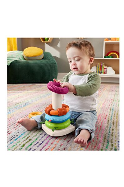 FISHER PRICE Eğitici Oyuncaklar