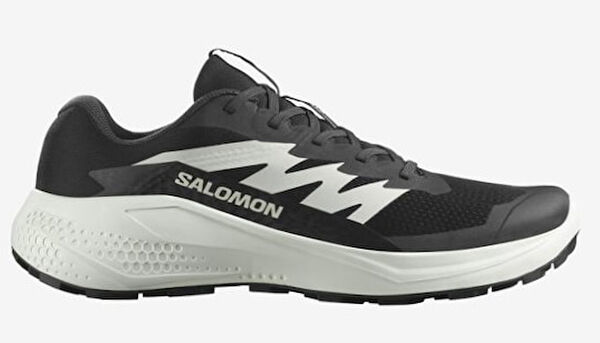 Salomon Outdoor Ayakkabı