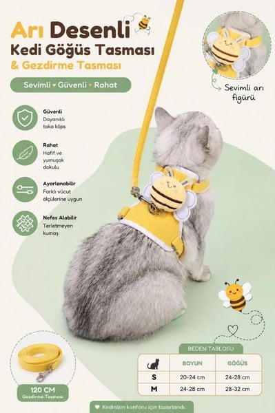 Floria Kedi Tasmaları ve İsimlikler