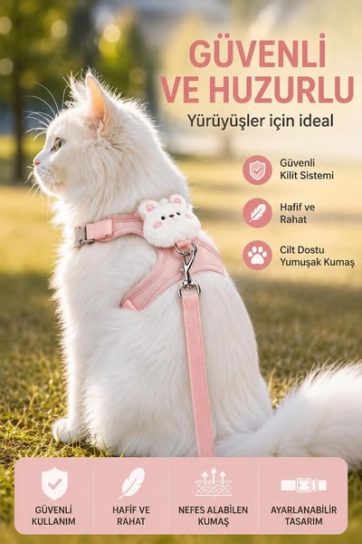 Floria Kedi Tasmaları ve İsimlikler