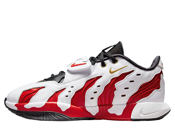 Nike Basketbol Ayakkabıları