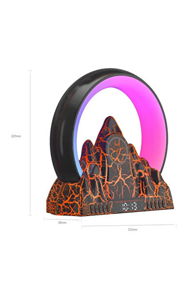 Canpay Kablosuz Şarj Aleti, Alıcı