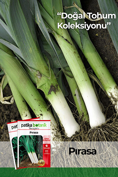 Patika Botanik Tohum