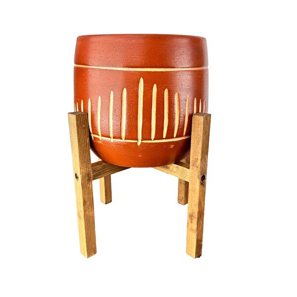 Bitki Tasarımı Vazo, Saksı