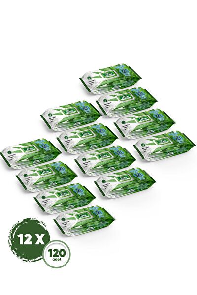 Dex Islak Mendil, Havlu