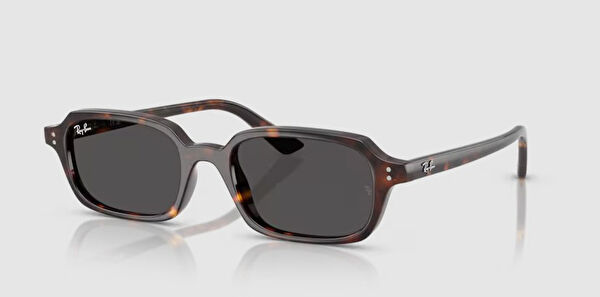 Ray-Ban Unisex Güneş Gözlüğü
