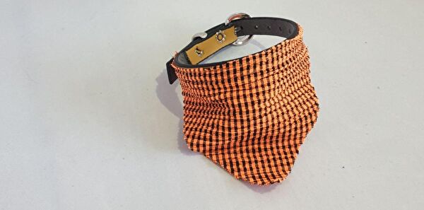 Elite Kedi Tasmaları ve İsimlikler