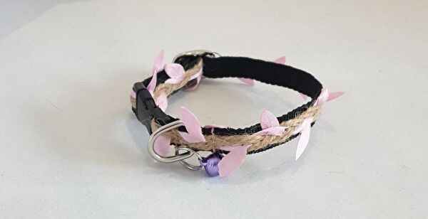 Elite Kedi Tasmaları ve İsimlikler