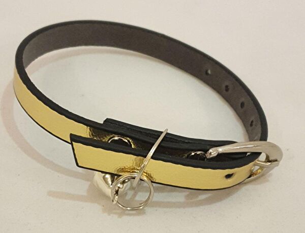 Elite Kedi Tasmaları ve İsimlikler