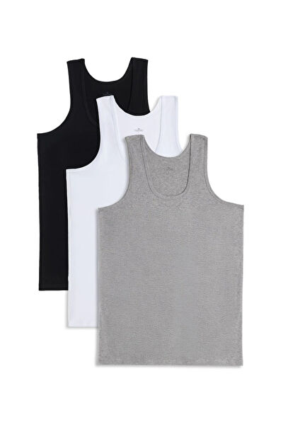 Tudors Erkek Atlet, Fanila