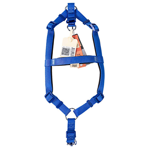 Savex Köpek Tasmaları