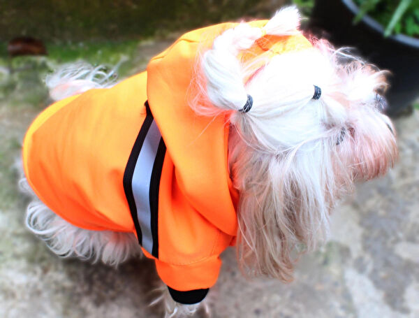 Petite Pati Köpek Elbisesi