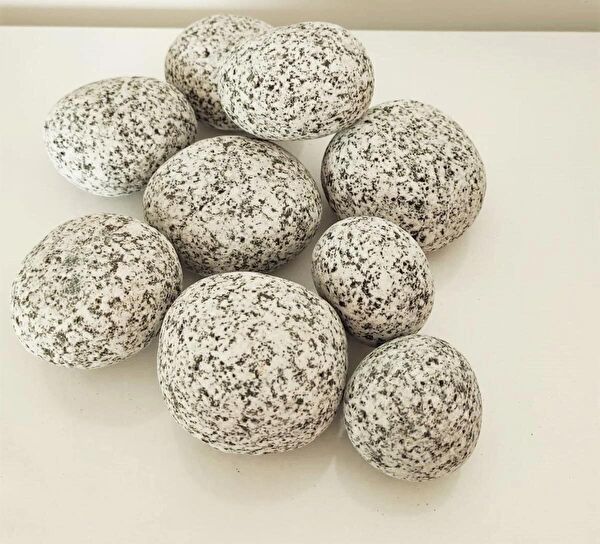 Asenya Bahçe Dekoratif Ürünleri