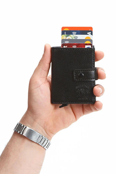 Newishpolo Erkek Kartlık, Pasaportluk