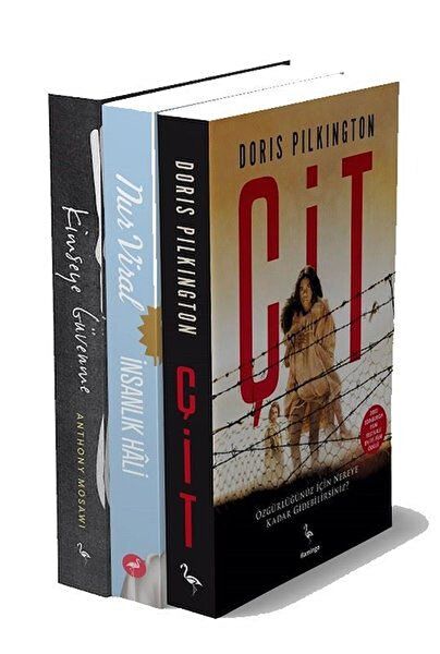 Flamingo Yayınları Roman