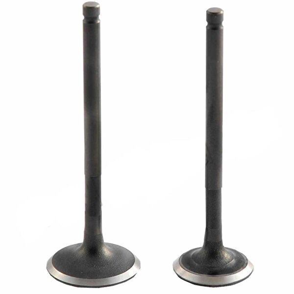 Motobisavm Krank, Piston ve Contalar