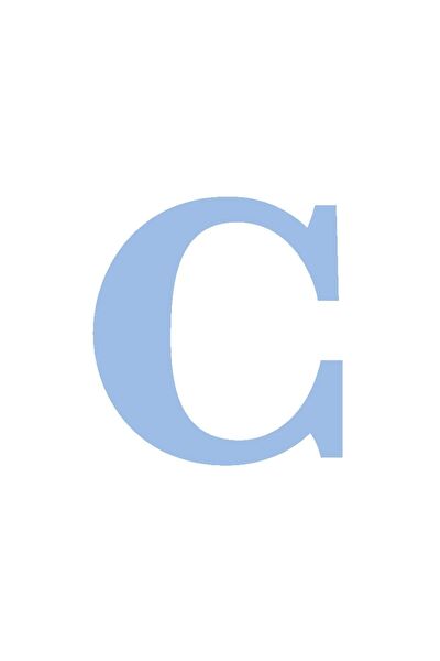 Festivall Party Shopping Parti Süsleme Malzemeleri