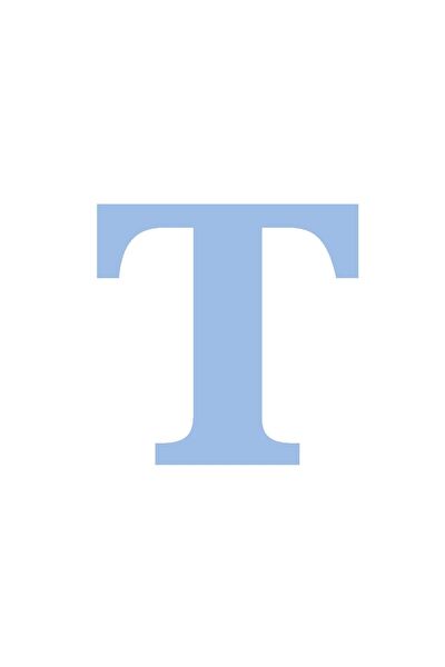 Festivall Party Shopping Parti Süsleme Malzemeleri